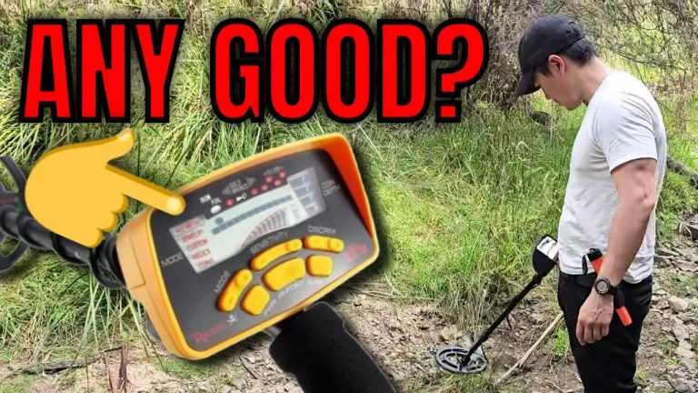 Is This Metal Detector Worth Buying? Raider MD-6250 Review